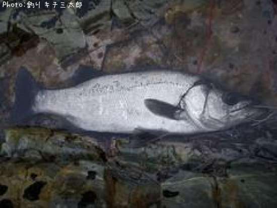 �ҥ饹����