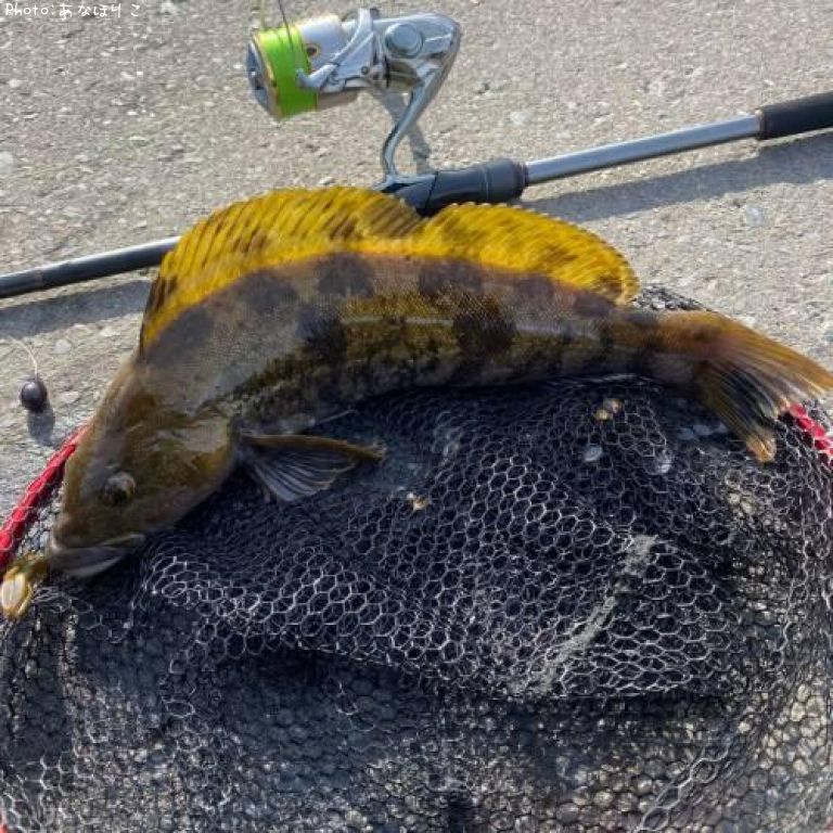 �����ʥ�