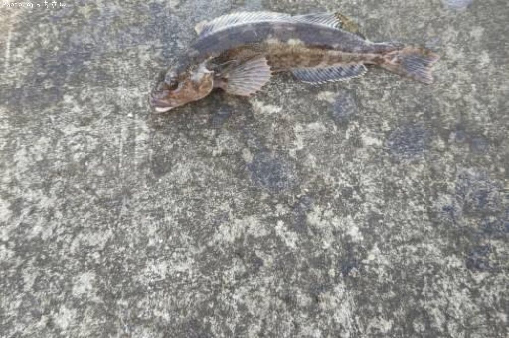 �����ʥ�