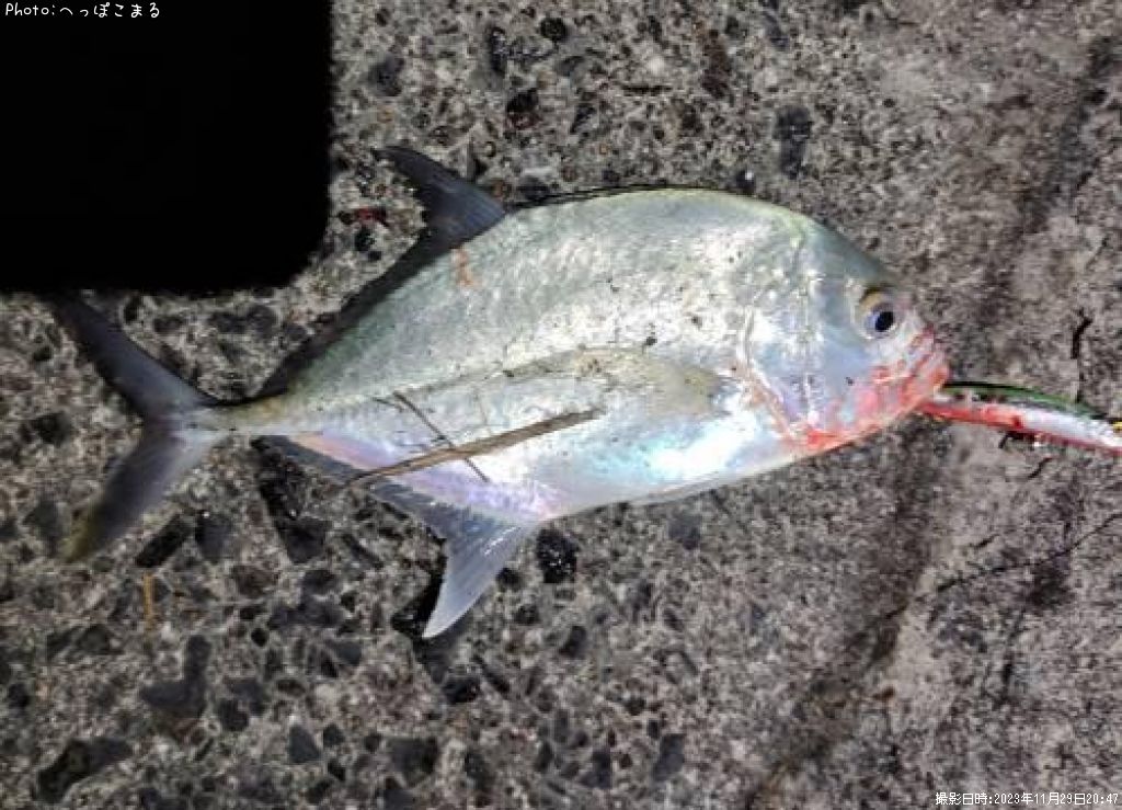 ��å�����