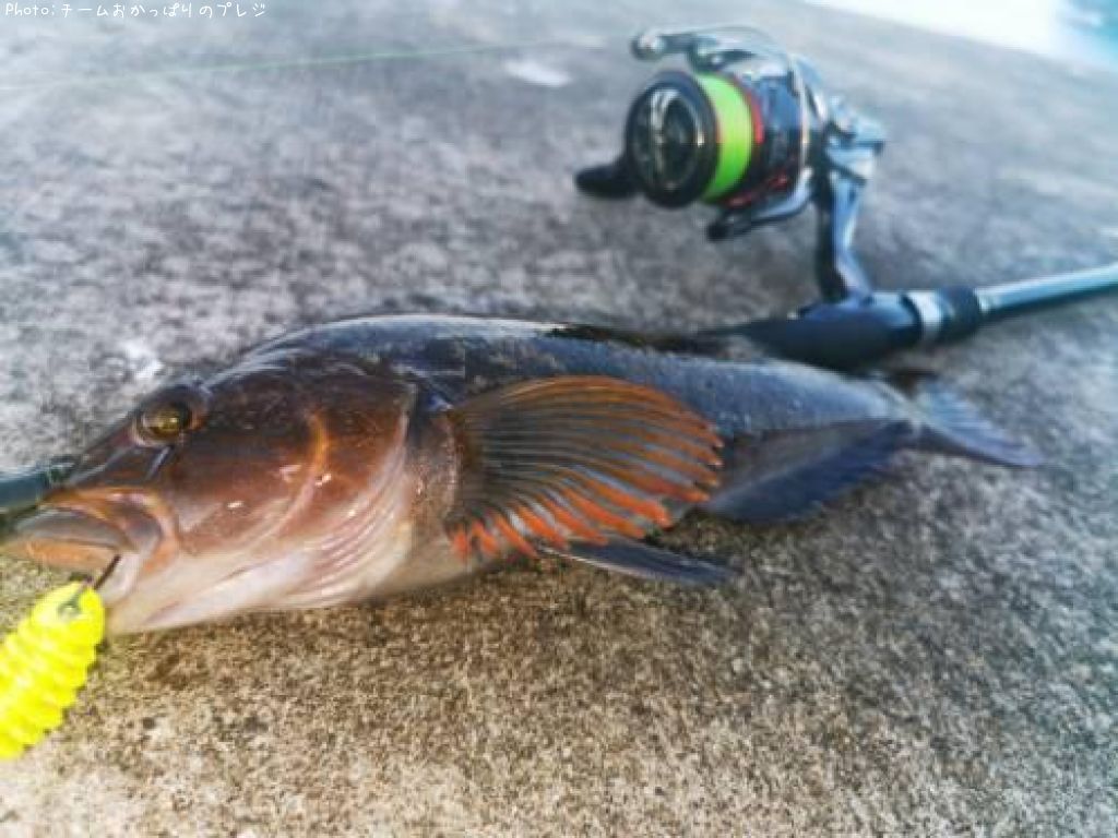 �����ʥ�