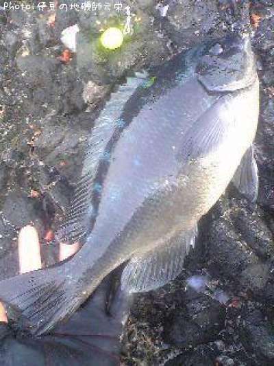 �����᥸��