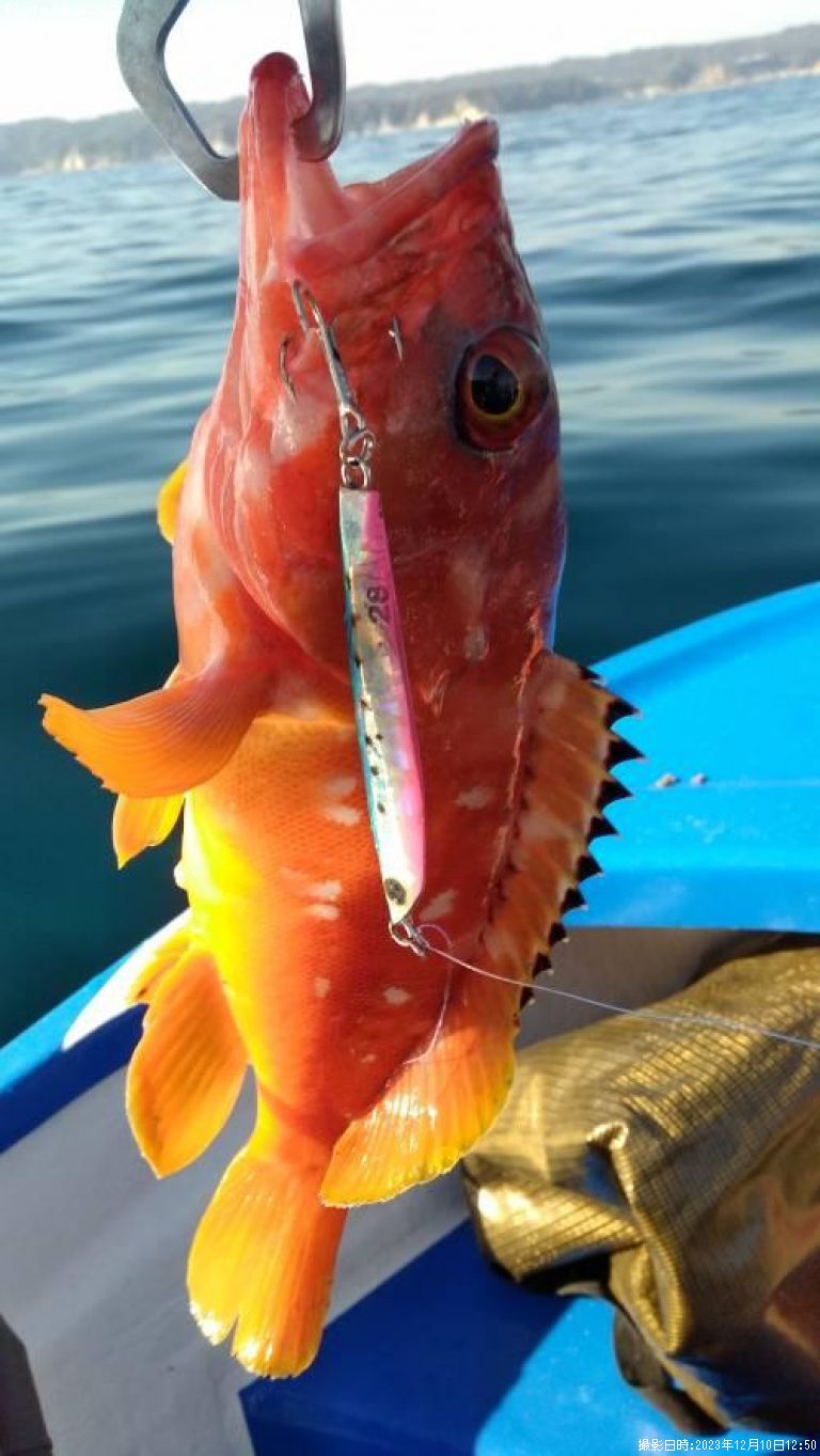 �����ϥ�