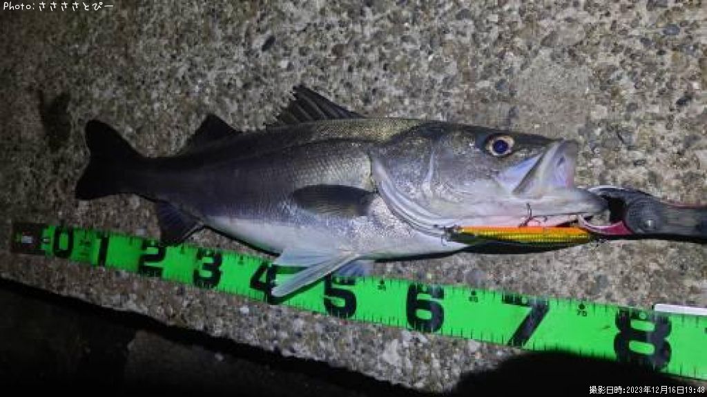 �����Х�