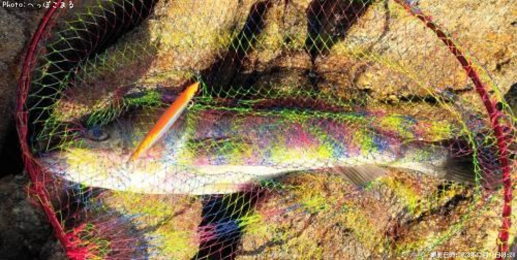 �����Х�