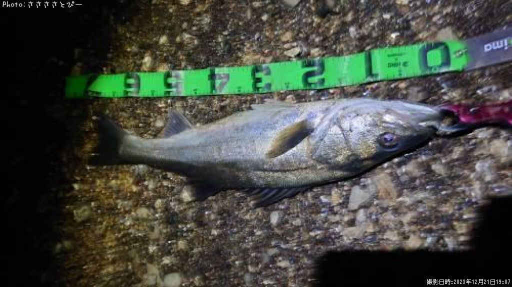 �����Х�