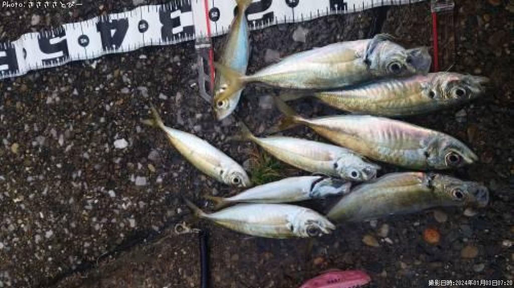 ���������ޥ�