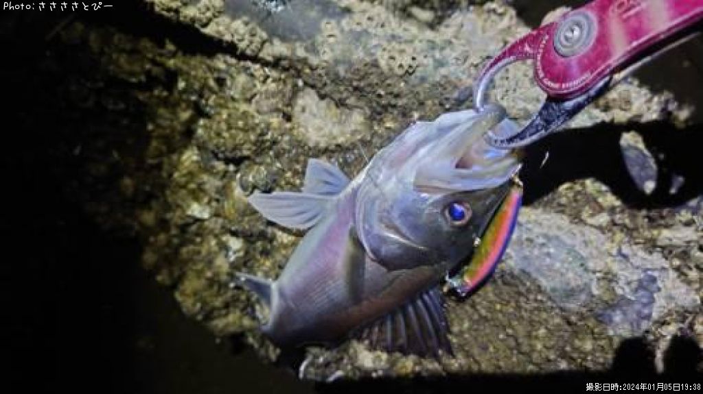 �����Х�