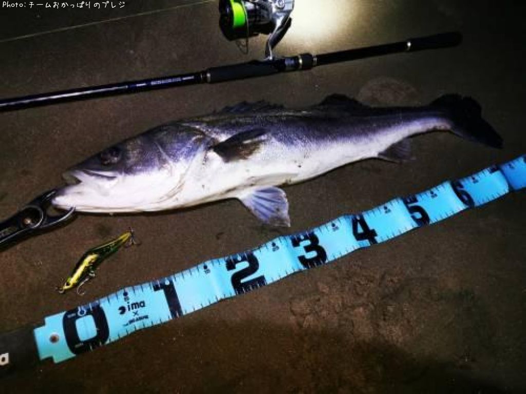 �����Х�