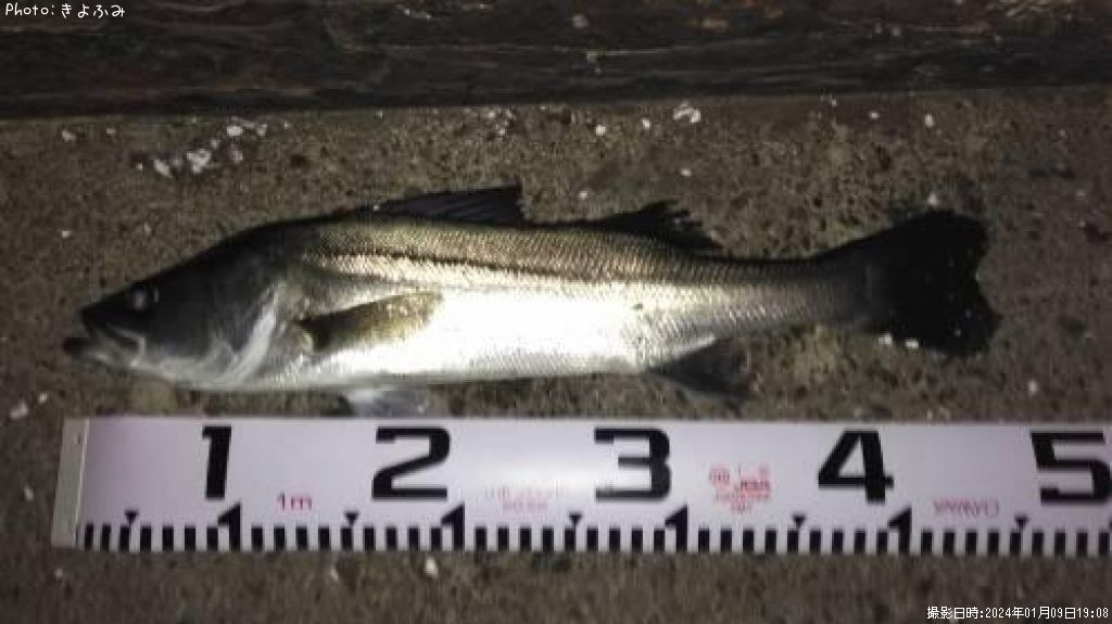 �����Х�