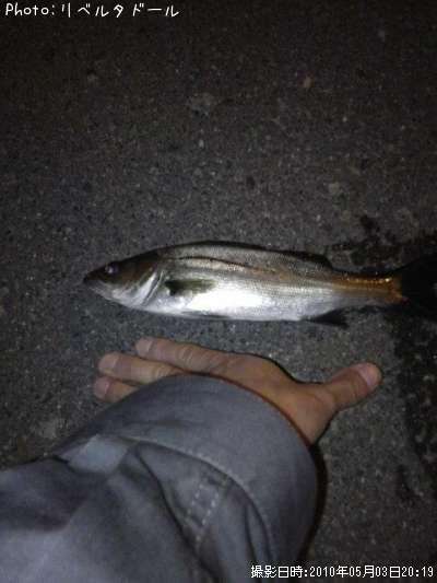 �����Х�