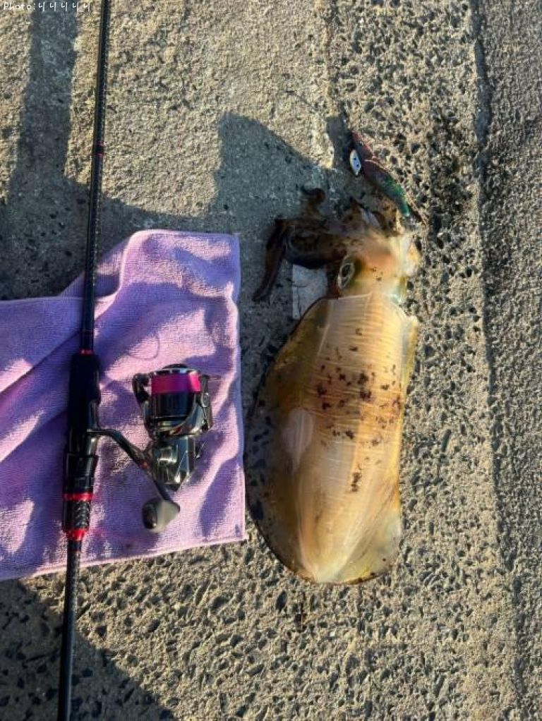 �����ꥤ��