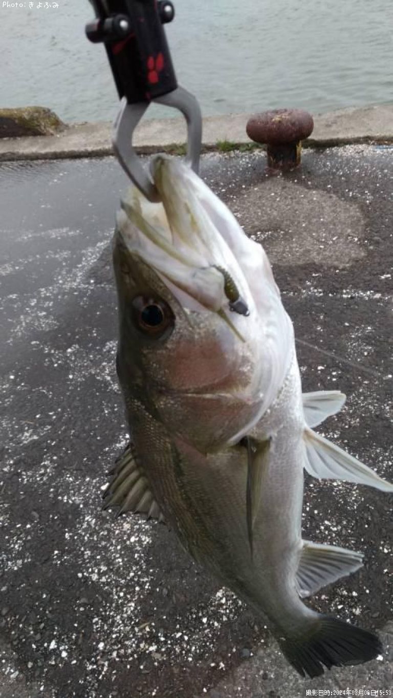 �����Х�