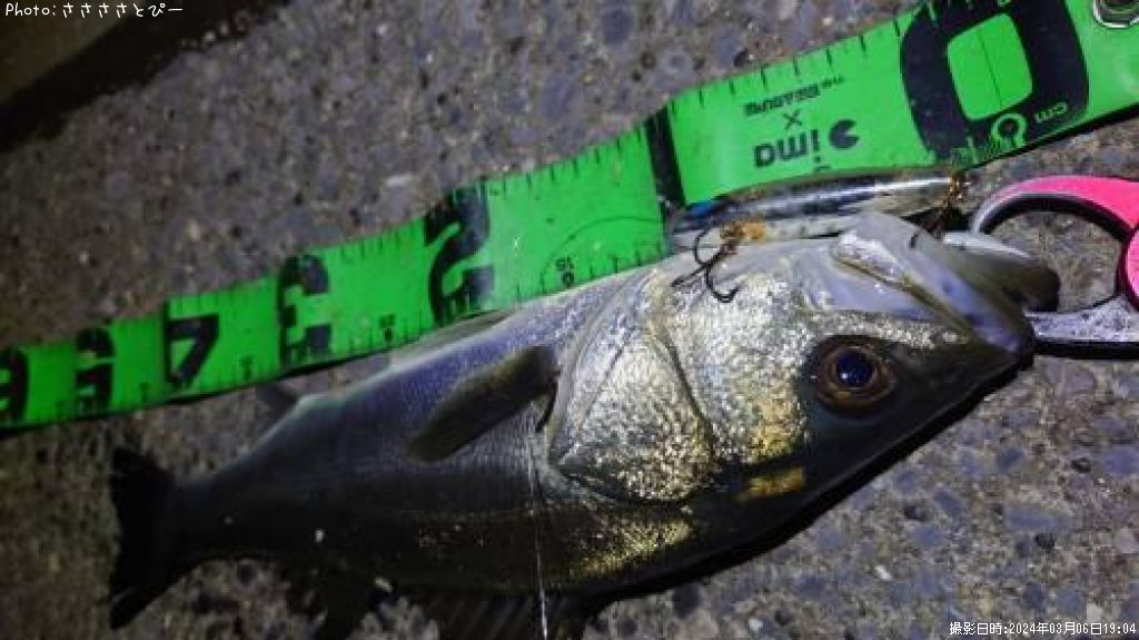 �����Х�