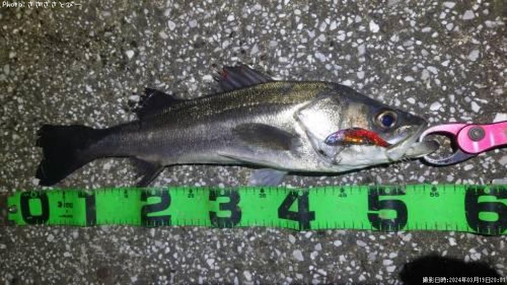 �����Х�