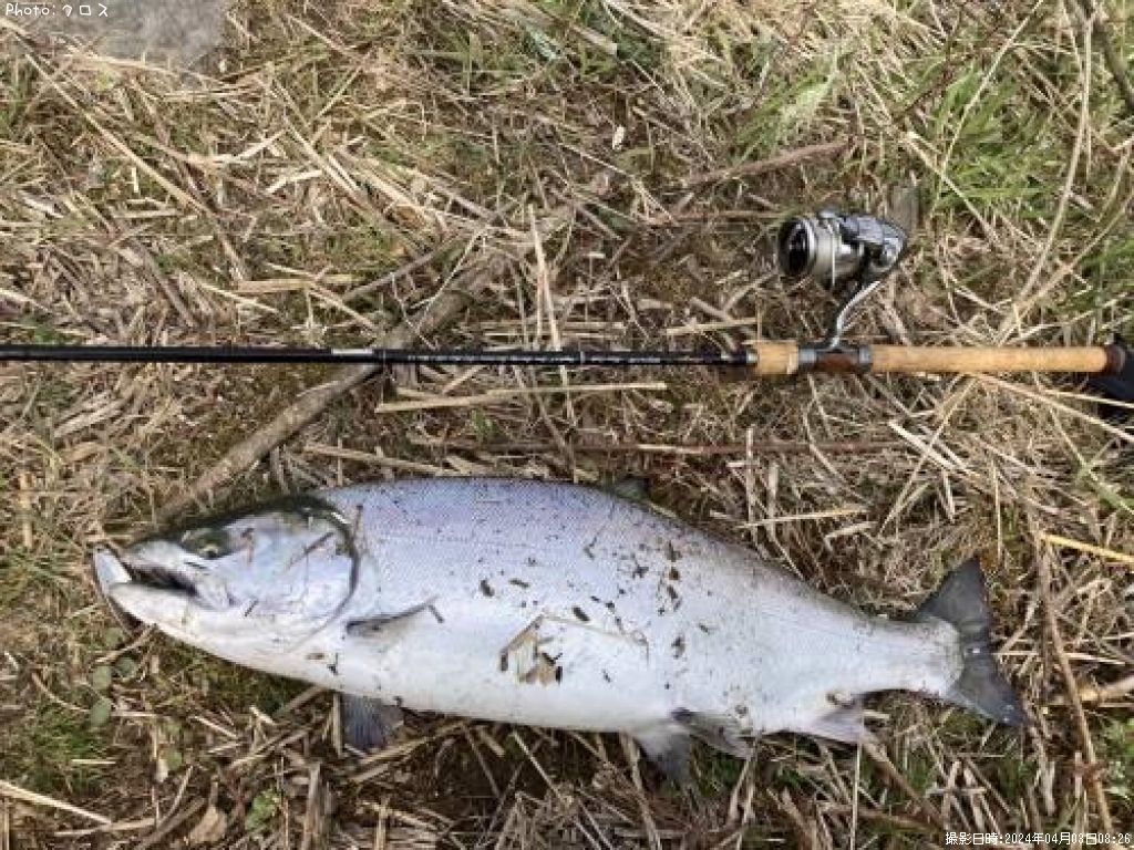 ������ޥ�