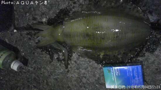 �����ꥤ��