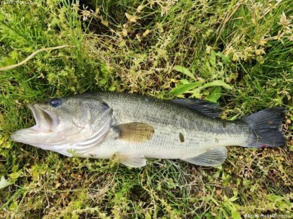 �֥�å��Х�