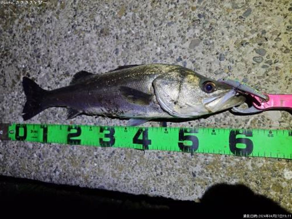 �����Х�