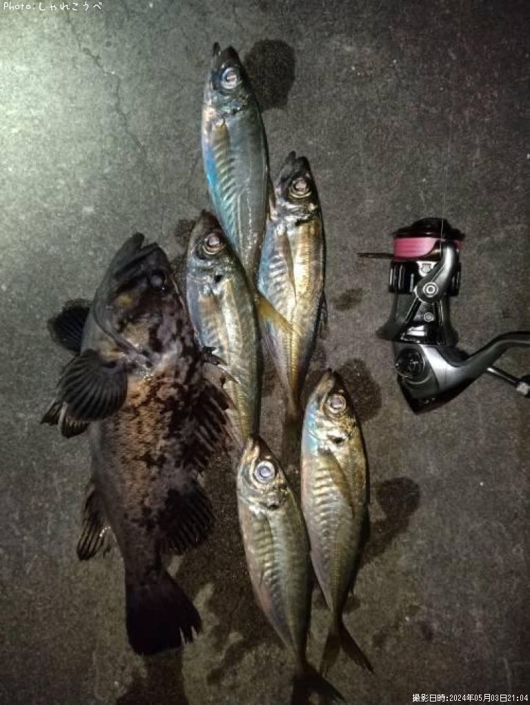 ��������������