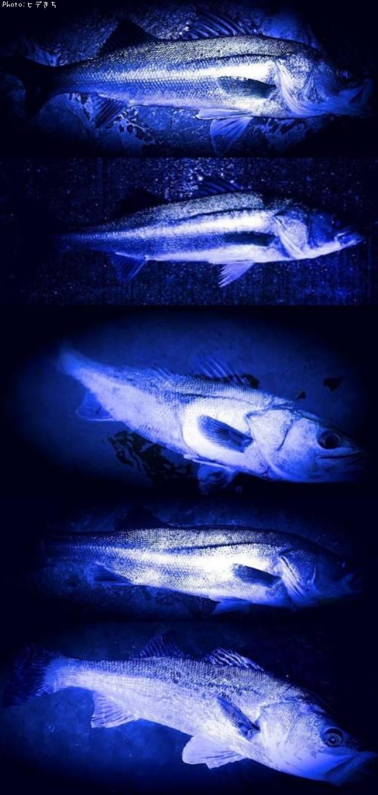 �����Х�