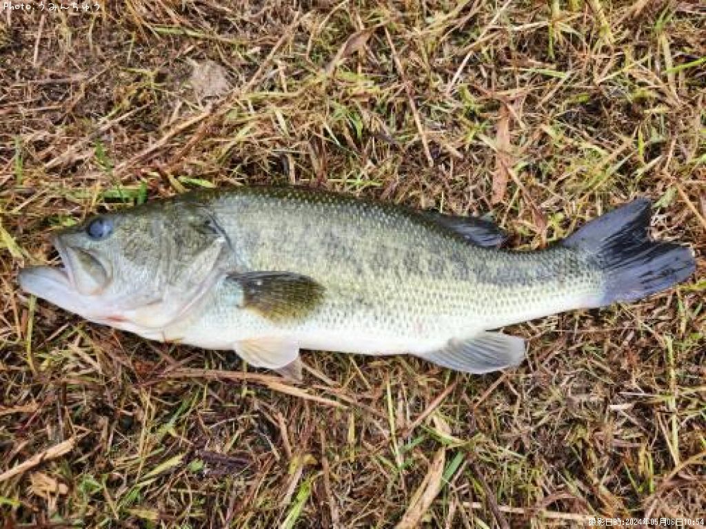 �֥�å��Х�