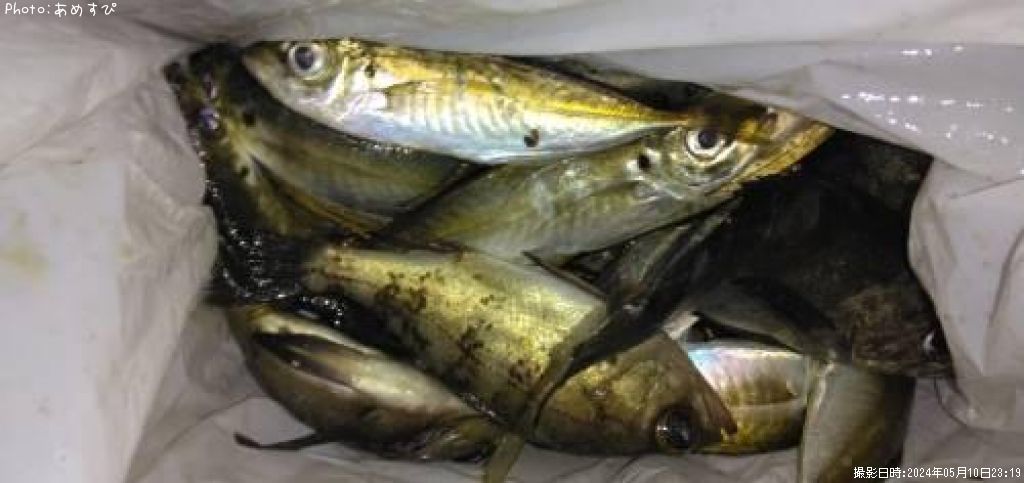 ��������Х�