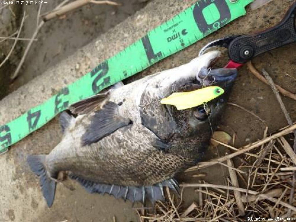 ���������������Х�