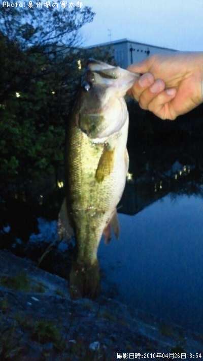 �֥�å��Х�