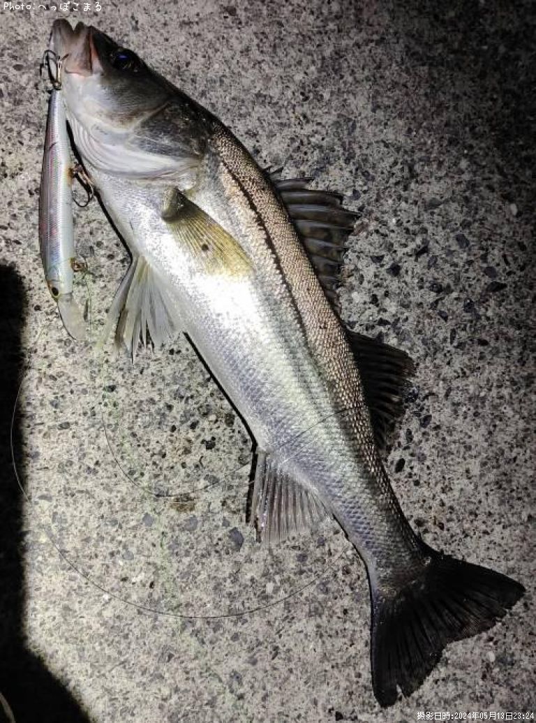 �����Х�