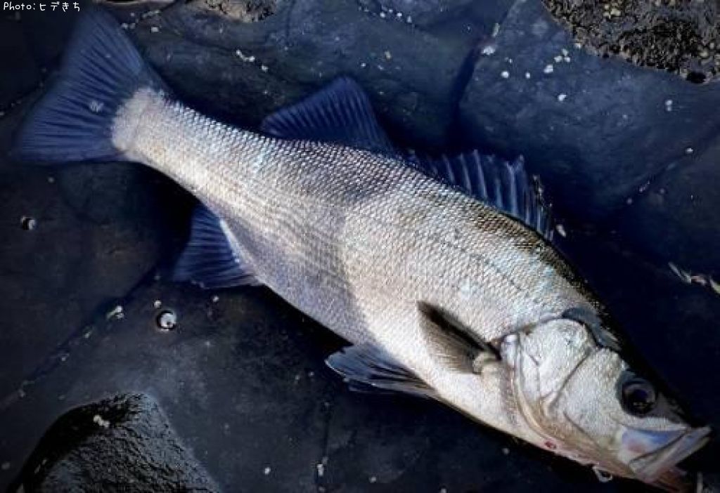 �ҥ饹����