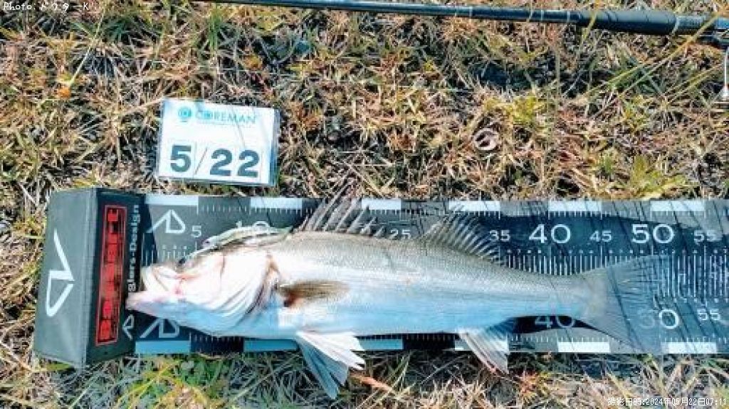 �����Х�