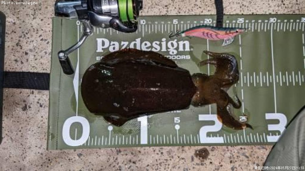 �����ꥤ��