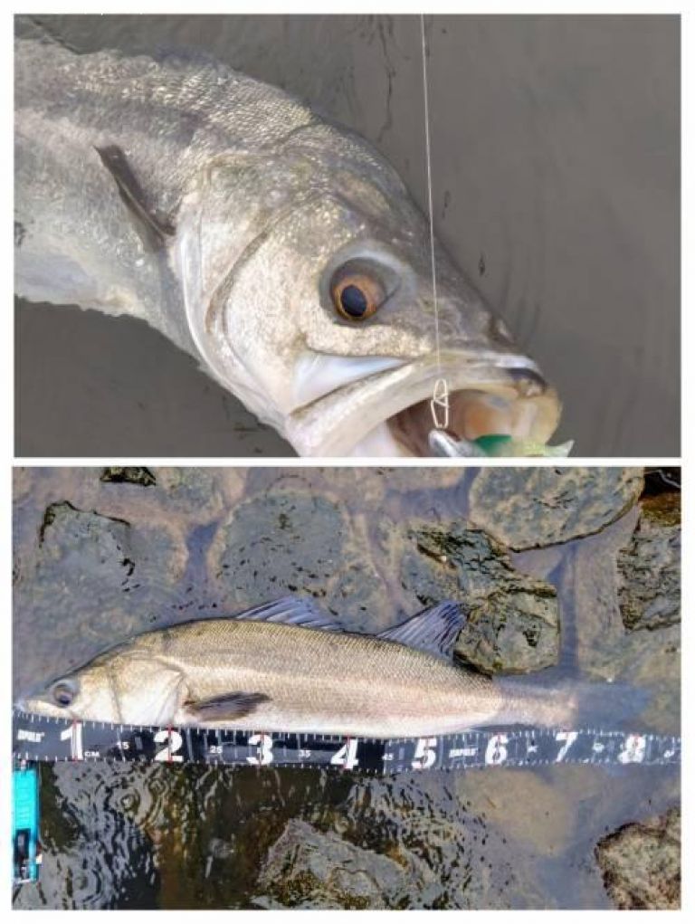 �����Х�