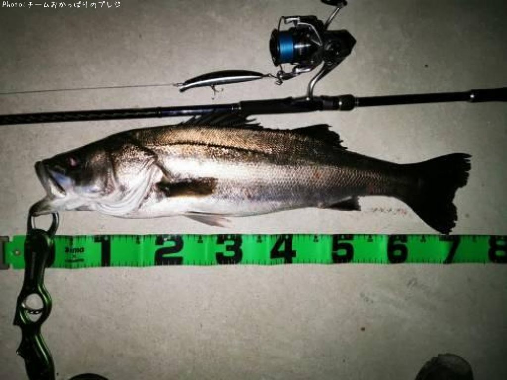 �����Х�