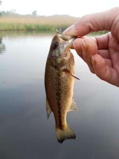 �֥�å��Х�