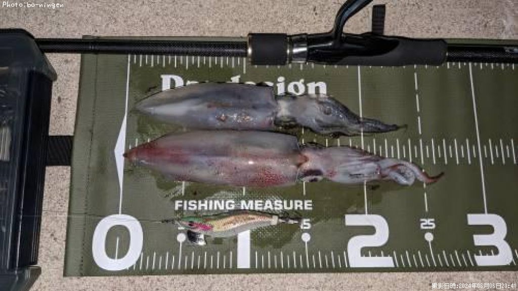 ���󥵥�����