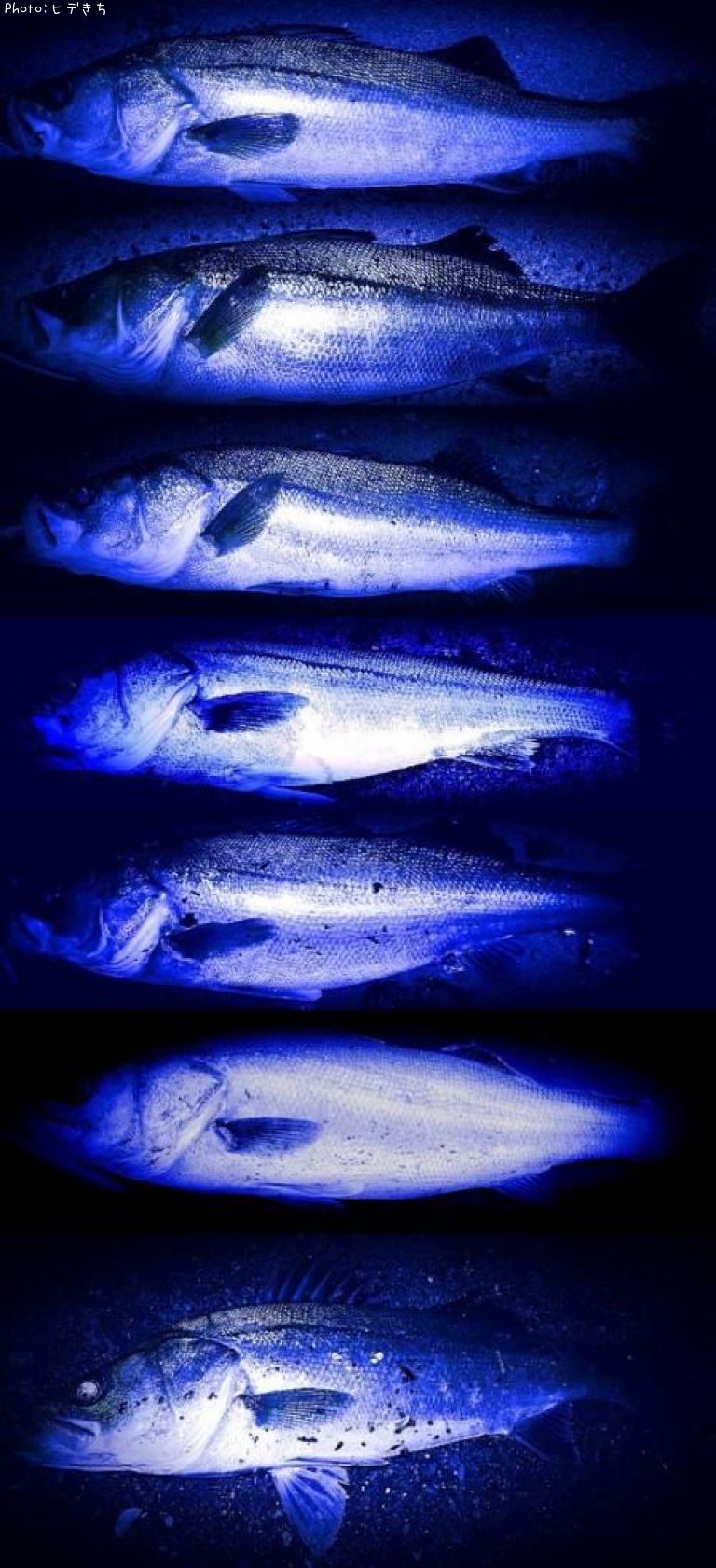 �����Х�