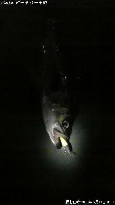 �����Х�