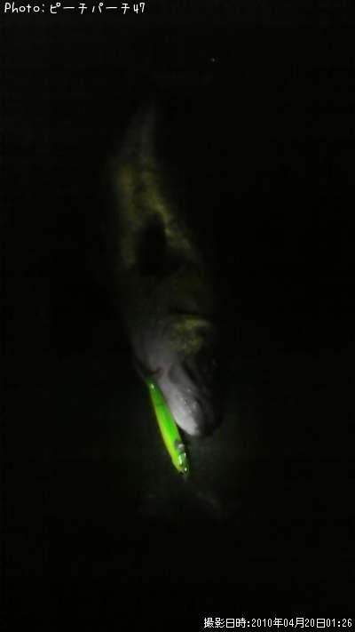 �����Х�