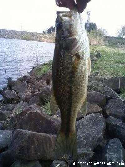 �֥�å��Х�