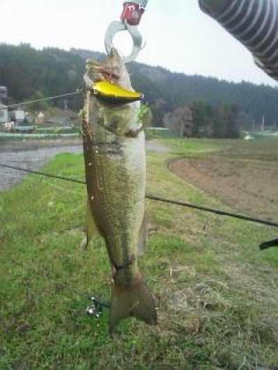 �֥�å��Х�