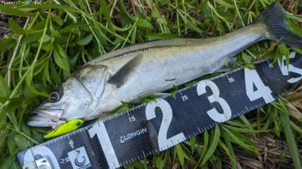 �����Х�