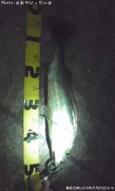 �����Х�