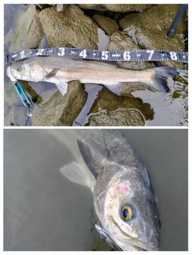 �����Х�