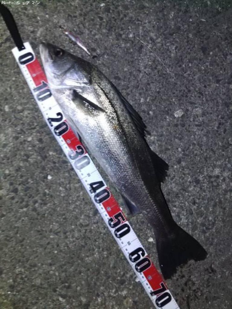 �����Х�