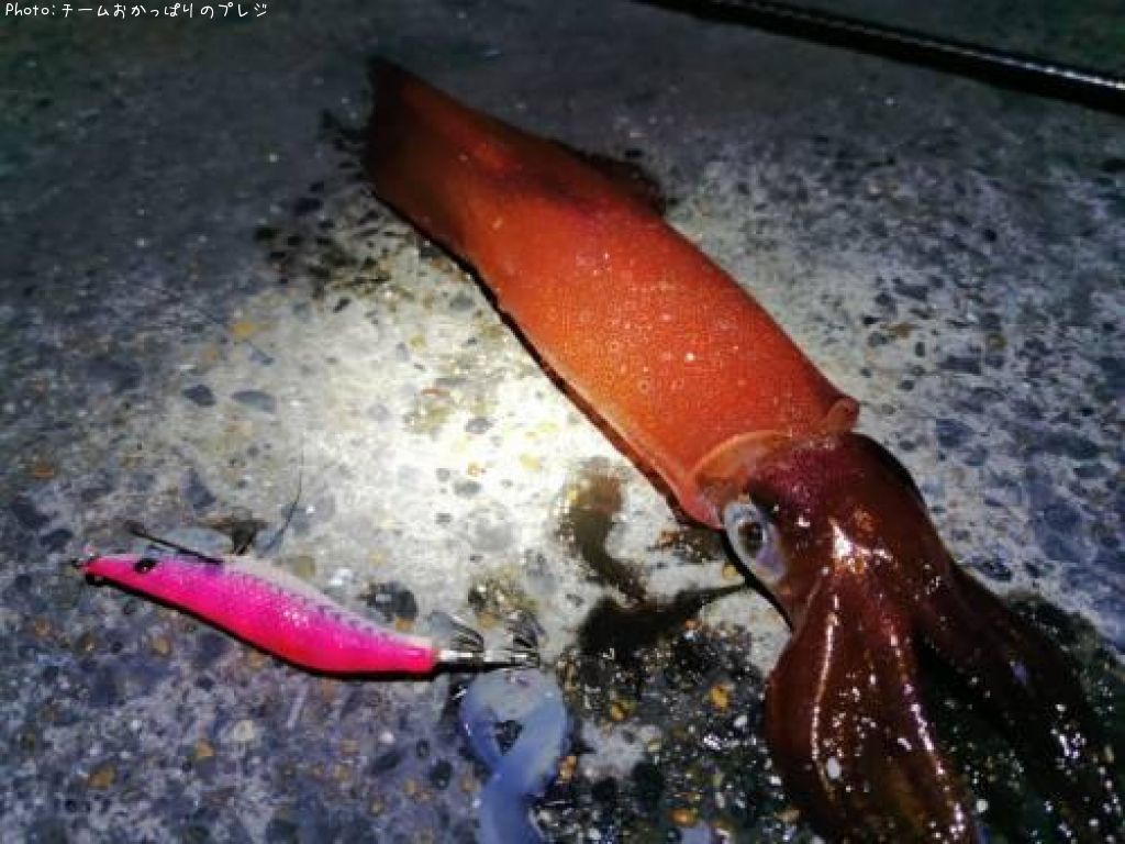 ���󥵥�����