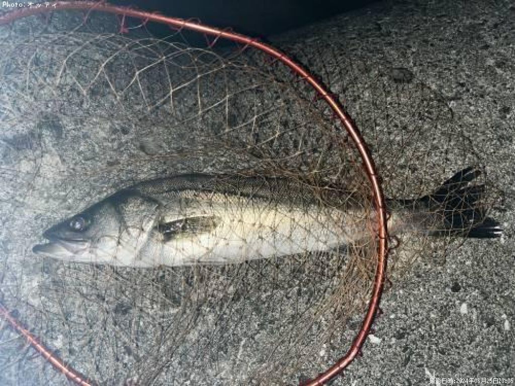 �����Х�