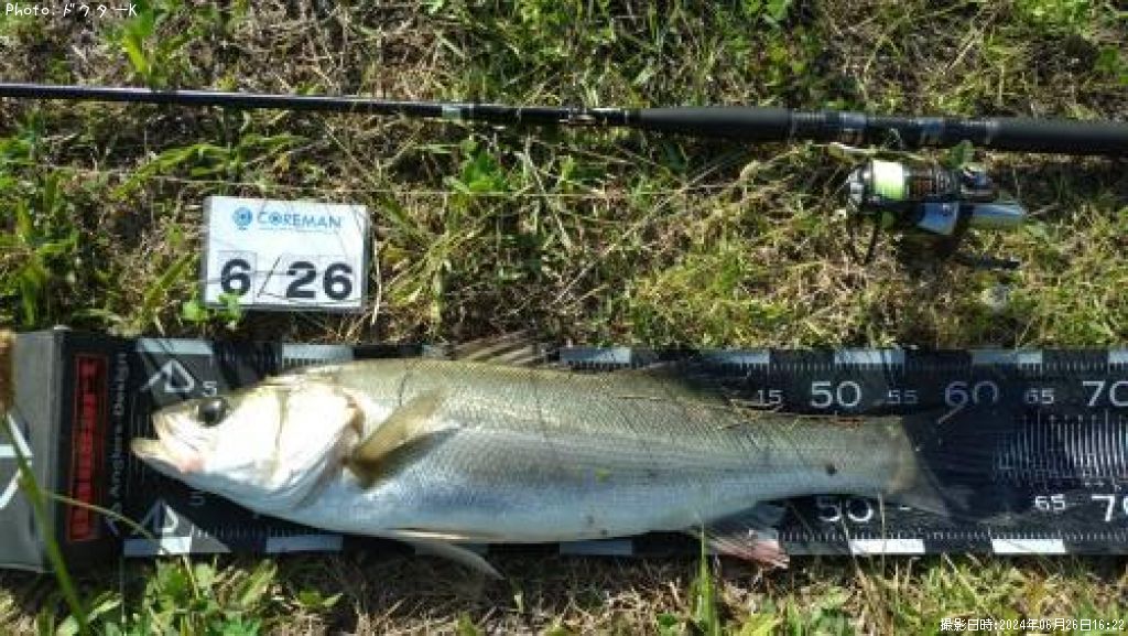 �����Х�