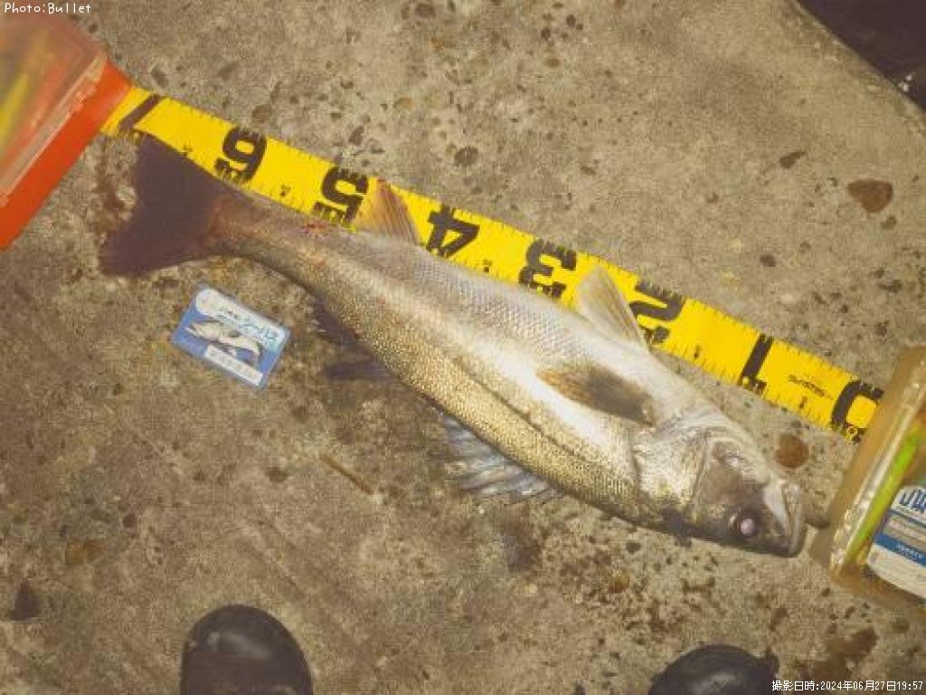 �����Х�